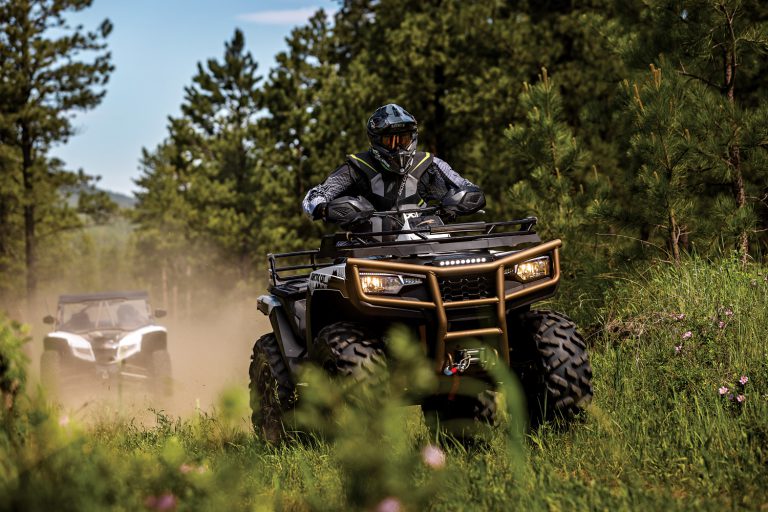 Arctic Cat Continues to Expand OffRoad Lineup for 2023 Dirt Trax Online
