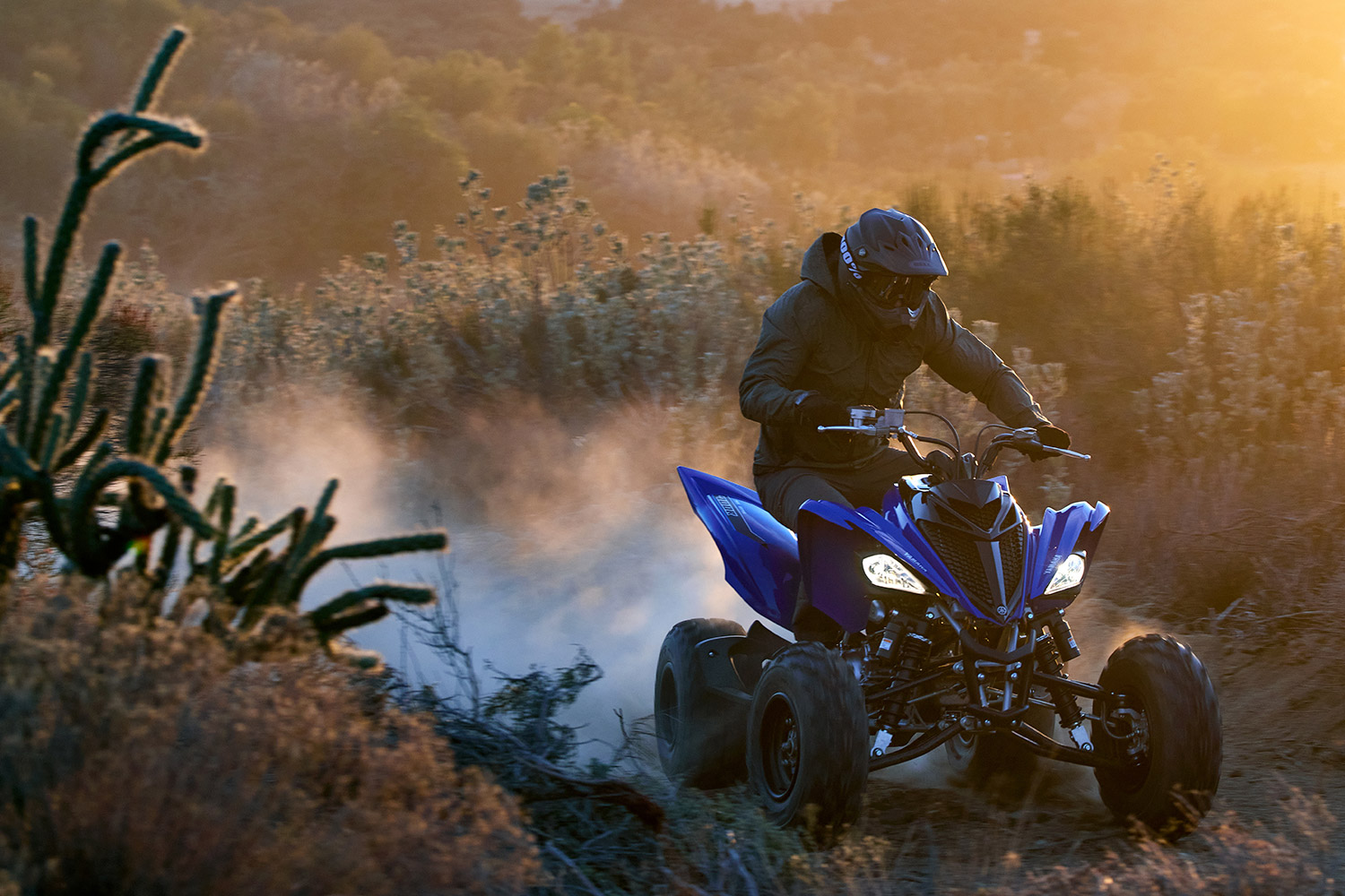 2021 YAMAHA YFZ450R, RAPTOR 700R, and RAPTOR 700 - Dirt Trax Online