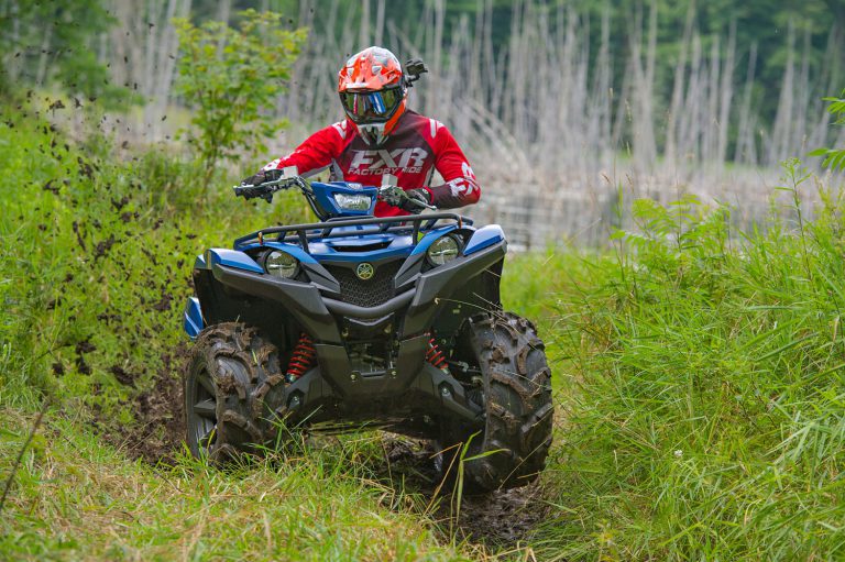 Viking 850 or Grizzly 850?