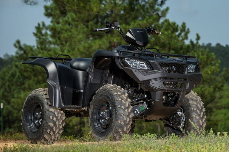 WILL SUZUKI MAKE A COMEBACK?