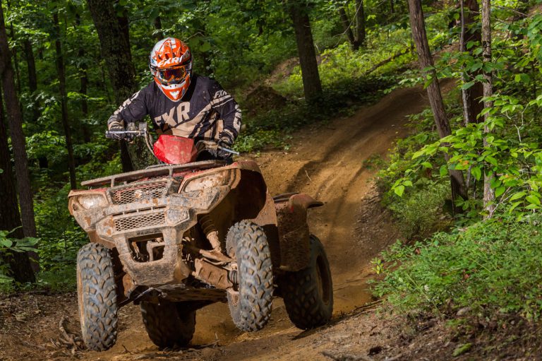 SUZUKI KINGQUAD UPDATE
