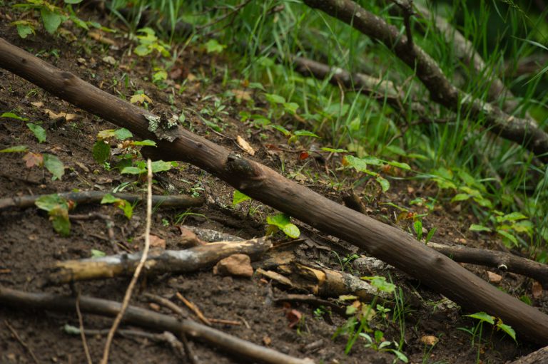 POLARIS PARTICIPATES IN TRAIL RESTORATION
