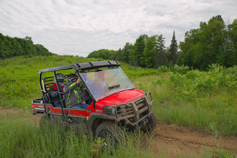 2017 KAWASAKI MULE PRO-FXT EPS