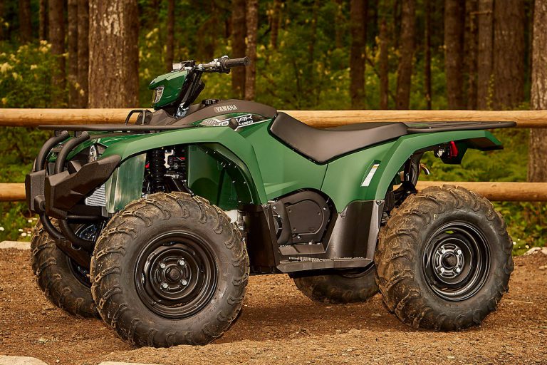2018 YAMAHA KODIAK 450