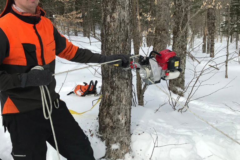 Portable Gas-Powered Winch