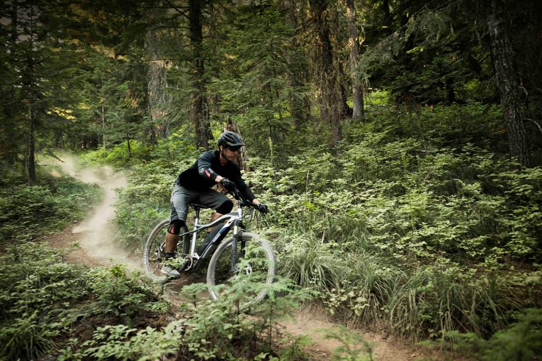 Yamaha Motor Corp., USA, Introduces First Power Assist E-Bike Models