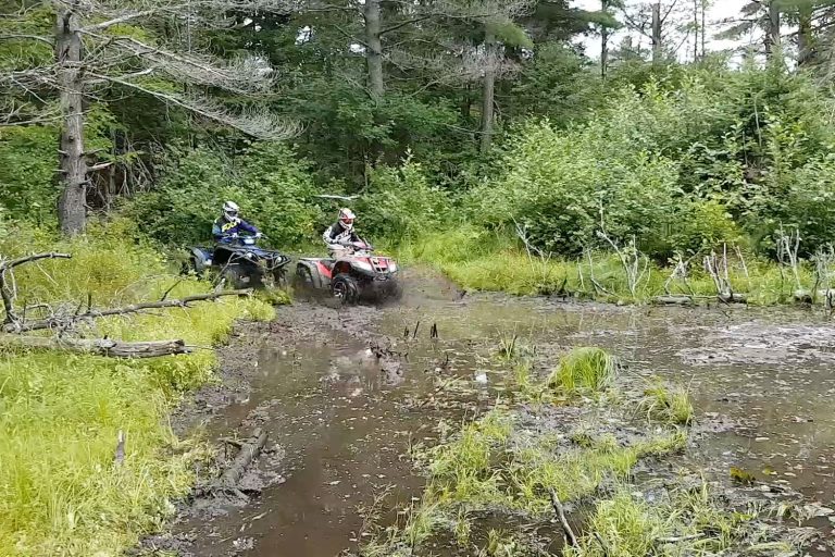 Yamaha Grizzly VS Honda Rincon All-Out Drag Race In The Swamp