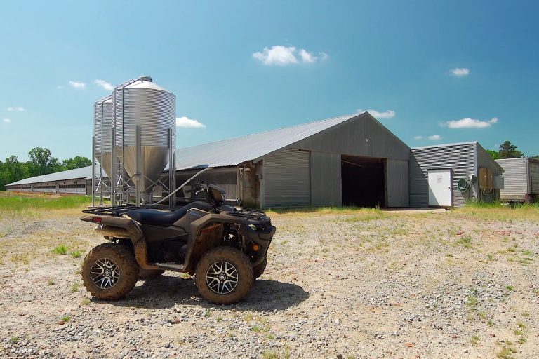 First Impressions: 2019 Suzuki KingQuad 750
