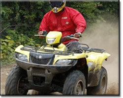 Sophisticated Suzuki KingQuad 700